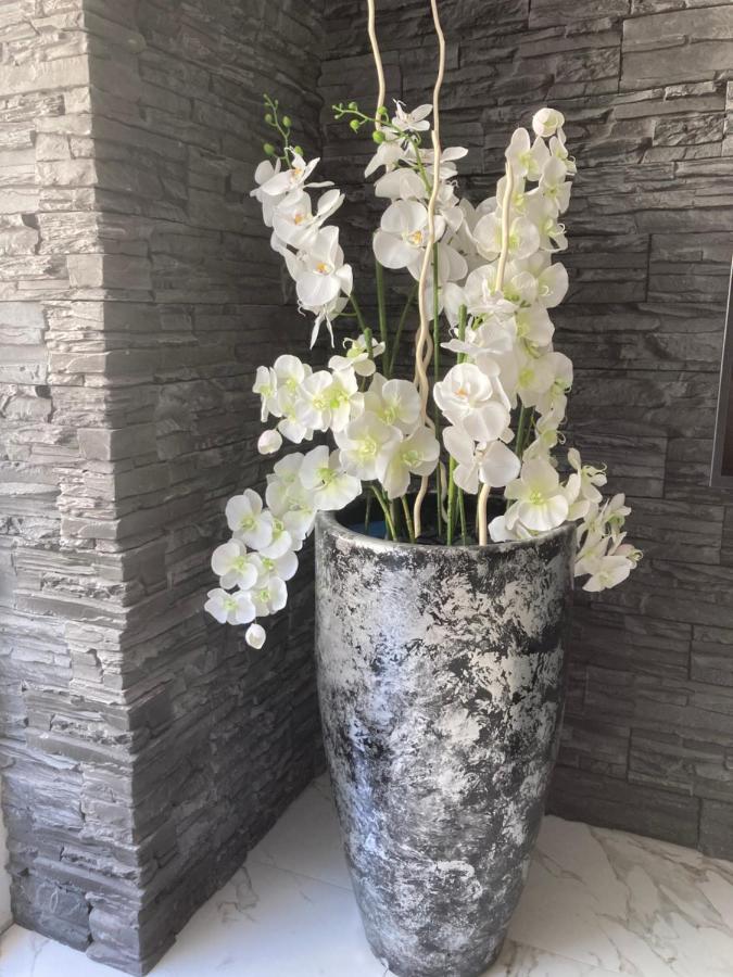 Swiss Luxury Apartment Mosonmagyaróvár 외부 사진
